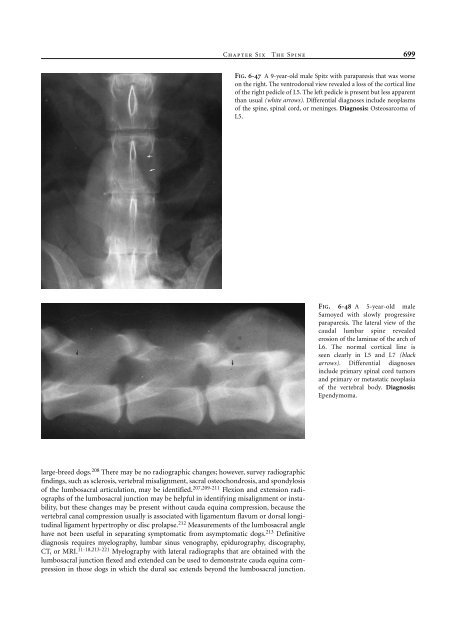 Small Animal Radiology and Ultrasound: A Diagnostic Atlas and Text