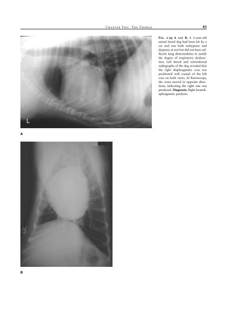 Small Animal Radiology and Ultrasound: A Diagnostic Atlas and Text