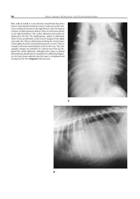 Small Animal Radiology and Ultrasound: A Diagnostic Atlas and Text