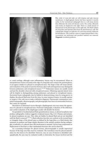 Small Animal Radiology and Ultrasound: A Diagnostic Atlas and Text