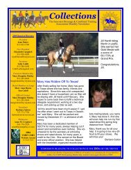 Collections - Suncoast Dressage and Combined Training ...