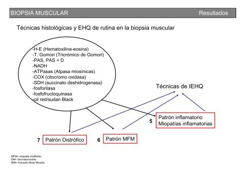 Metodología y técnicas para el estudio de enfermedades musculares