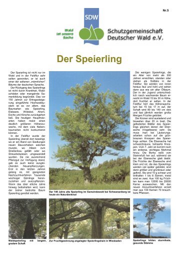 Der Speierling - Schutzgemeinschaft Deutscher Wald