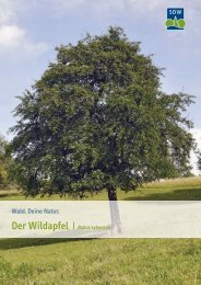 Wildapfel - Schutzgemeinschaft Deutscher Wald