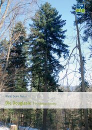 Douglasie - Schutzgemeinschaft Deutscher Wald