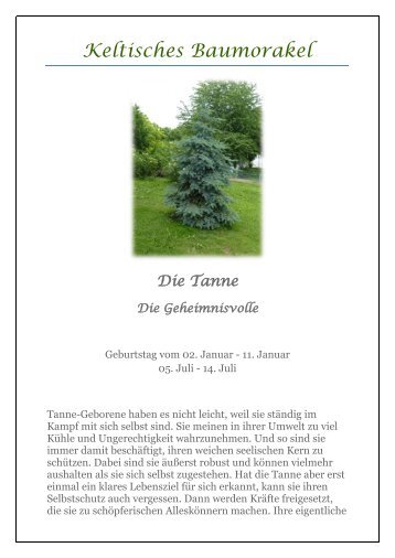 Keltisches Baumorakel   Die Tanne