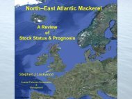 North East Atlantic mackerel stock status - Seafish