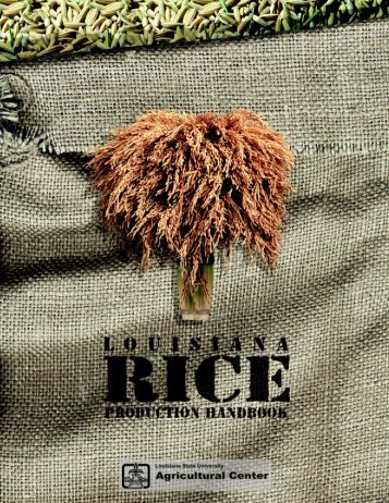 Louisiana Rice Production Handbook - Texas A&M AgriLIFE ...