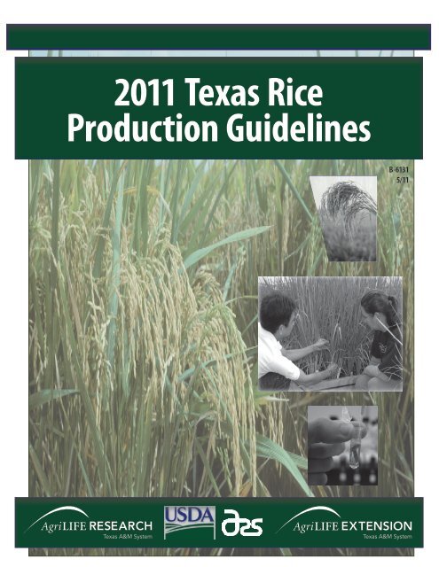2011 Texas Rice Production Guidelines Texas AgriLIFE ...