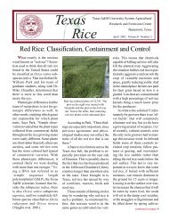 Texas Rice - Texas A&M AgriLIFE Research Center at Beaumont ...