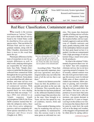 Texas Rice - Texas A&M AgriLIFE Research Center at Beaumont ...