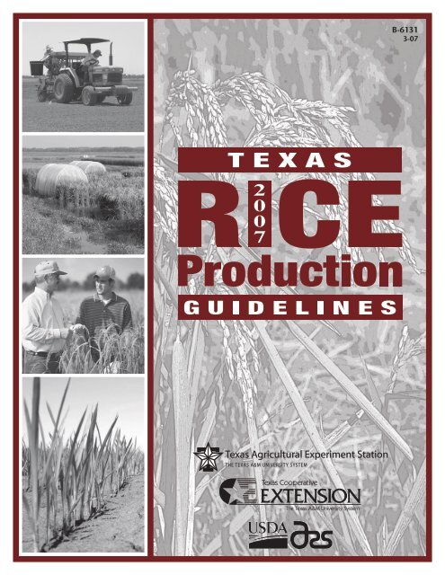 2007 - Texas A&M AgriLIFE Research Center at Beaumont - Texas ...