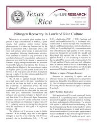 Texas Rice - Texas A&M AgriLIFE Research Center at Beaumont ...