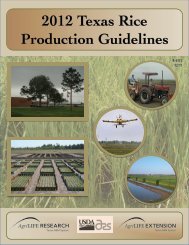 2012 Texas Rice Production Guidelines - Texas A&M AgriLIFE ...
