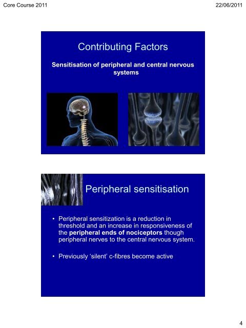 Fibromyalgia and Central Pain Mechanisms