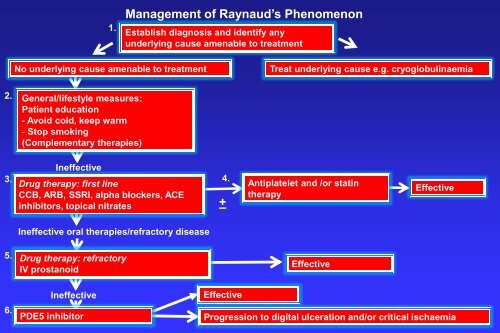 Raynaud's phenomenon, digital ulcers and critical digital ischaemia