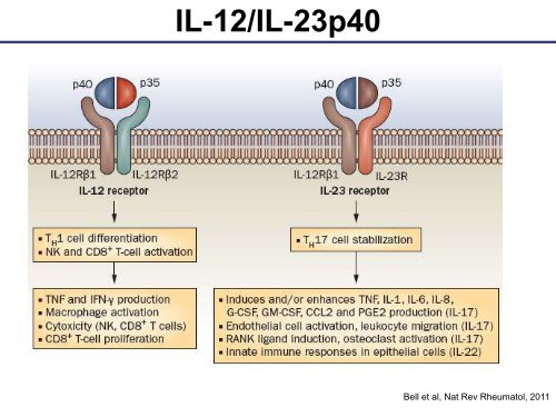 Emerging cytokines and cytokine signalling molecules as ...