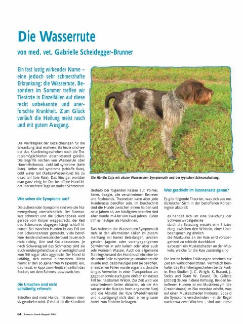 Die Wasserrute - Schweizer Hunde Magazin