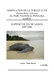 NIDIFICATION DE LA TORTUE LUTH Dermochelys ... - Seaturtle.org