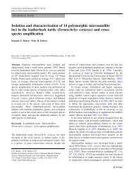 Isolation and characterization of 14 polymorphic microsatellite loci in ...