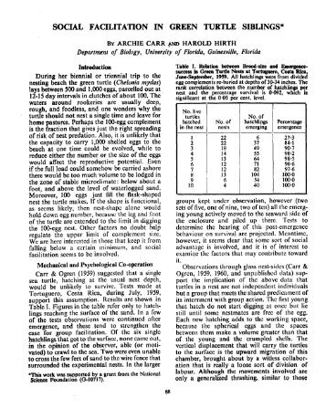 SOCIAL FACILITATION IN GREEN TURTLE SIBLINGS* - Seaturtle.org