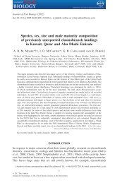 Species, sex, size and male maturity composition of ... - Seaturtle.org