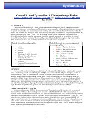 Corneal Stromal Dystrophies: A Clinicopathologic Review ...