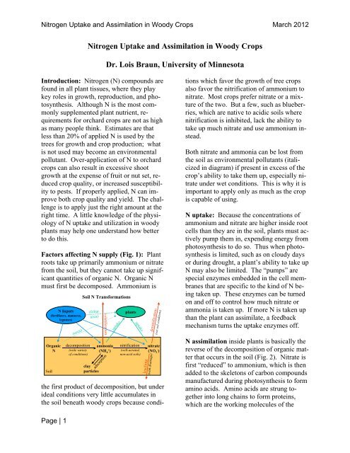 Nitrogen Uptake and Assimilation - Upper Midwest Hazelnut ...