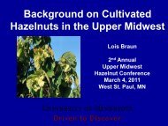 Hazelnuts in the Midwest-A Brief History - Upper Midwest Hazelnut ...