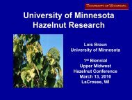 University of Minnesota Hazelnut Research - Upper Midwest ...