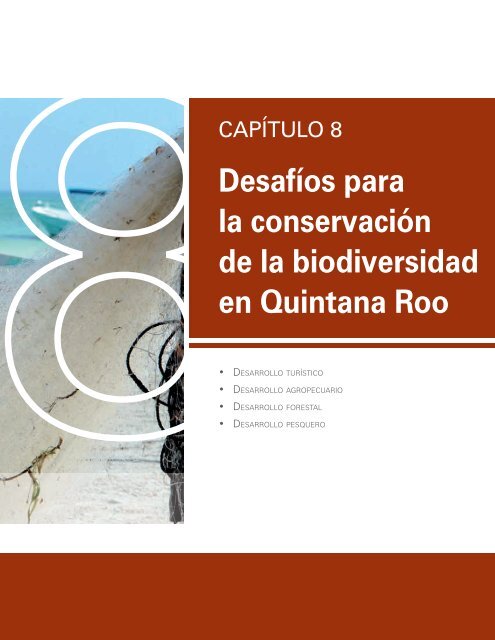 Desafíos para la conservación de la biodiversidad en Quintana Roo