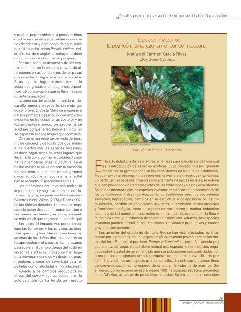 Desafíos para la conservación de la biodiversidad en Quintana Roo