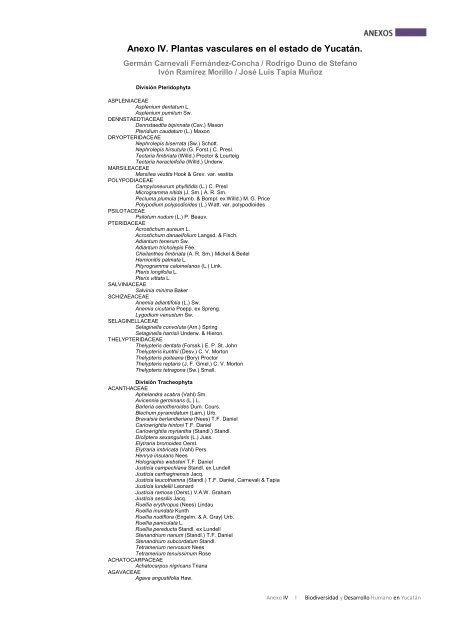 Anexo IV. Plantas vasculares en el estado de Yucatán.