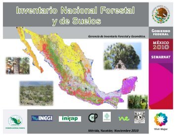Inventario Nacional Forestal y de Suelos