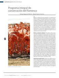 Programa integral de conservación del flamenco. Formato PDF - CICY