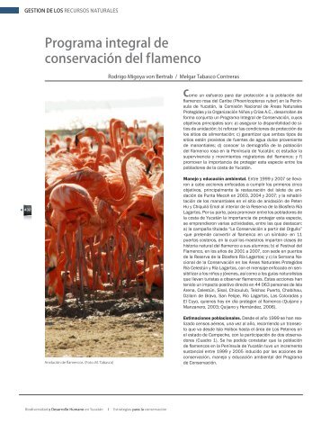Programa integral de conservación del flamenco. Formato PDF - CICY