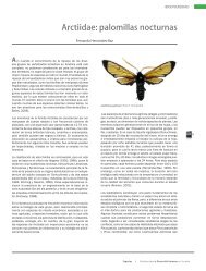 Arctiidae: palomillas nocturnas. Formato PDF - CICY