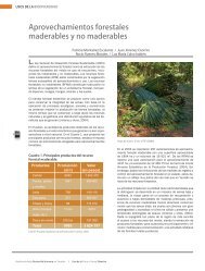 Aprovechamientos forestales maderables y no maderables - CICY