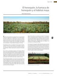 El henequén, la hamaca de henequén y el hábitat maya - CICY