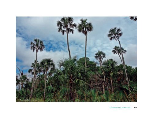 La Biodiversidad en Campeche Estudio de Estado