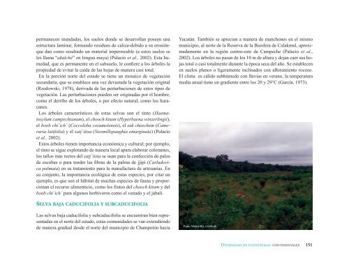 La Biodiversidad en Campeche Estudio de Estado