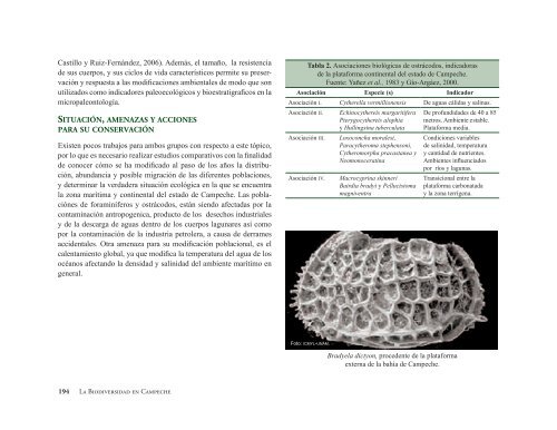 La Biodiversidad en Campeche Estudio de Estado