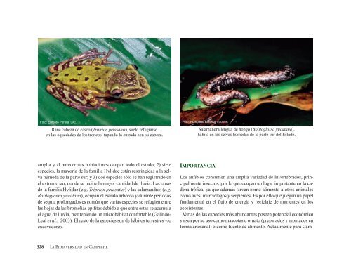 La Biodiversidad en Campeche Estudio de Estado