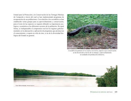 La Biodiversidad en Campeche Estudio de Estado