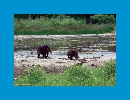 La Biodiversidad en Campeche Estudio de Estado