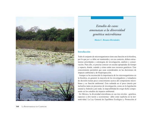 La Biodiversidad en Campeche Estudio de Estado