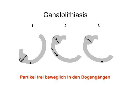 Vortrag Sarah Marti - See-Spital