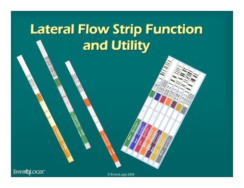 Lateral Flow Strip Function and Utility