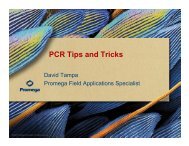 Topfield PVR Tips and Tricks - Awardspace