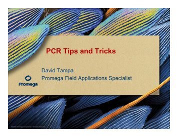 PCR Tips and Tricks
